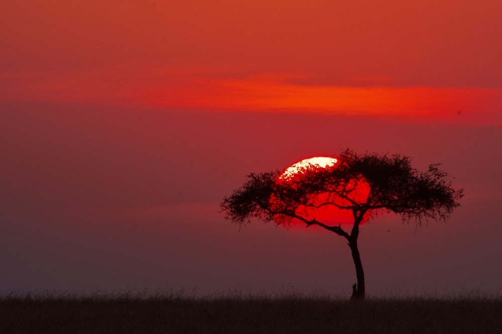 Кения: Масаи-Мара