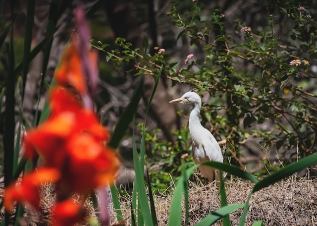 Мадагаскар: Антананариву