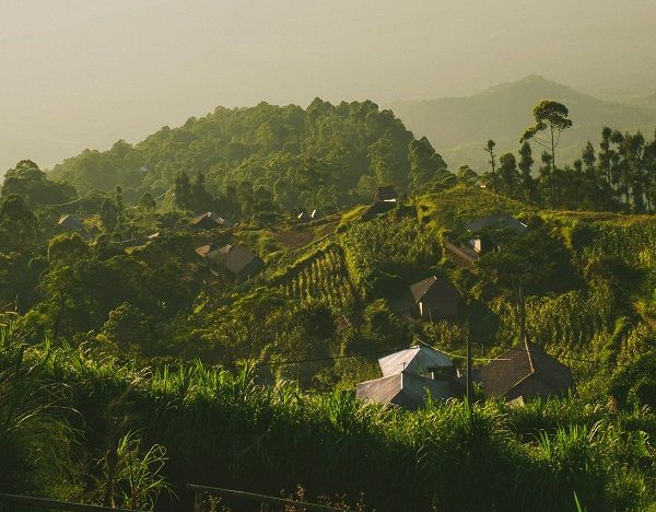 Индонезия: Бали