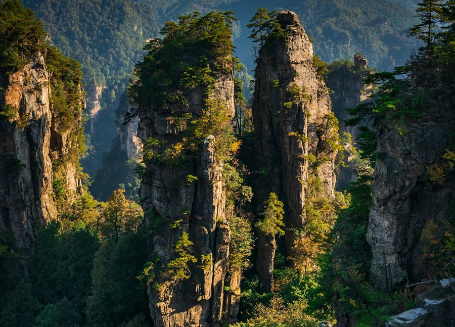 Китай: Чжанцзяцзе, горы Аватара