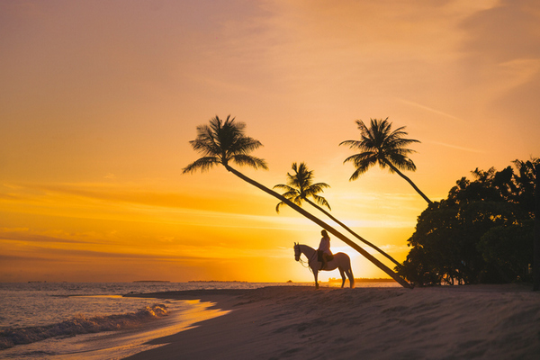 Мальдивы: Siyam World Maldives