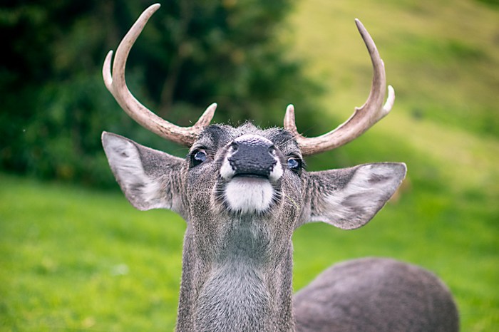 Эквадор: Эль-Анхель