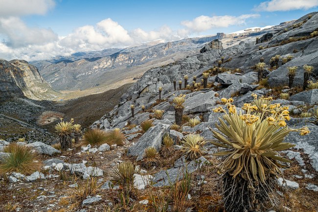Эквадор: Эль-Анхель