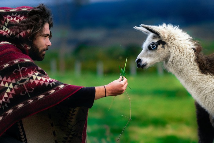 Эквадор: Пулулауа