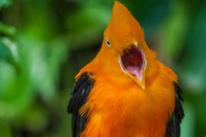 Эквадор: Бельявиста