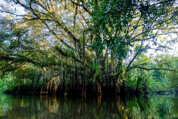 Эквадор: Амазония