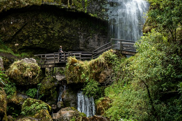 Эквадор: Амазония