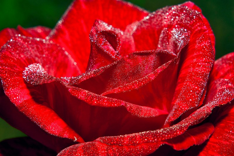 Эквадор: Котопакси