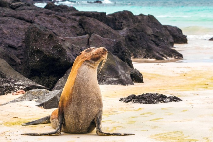 Эквадор: Галапагосы