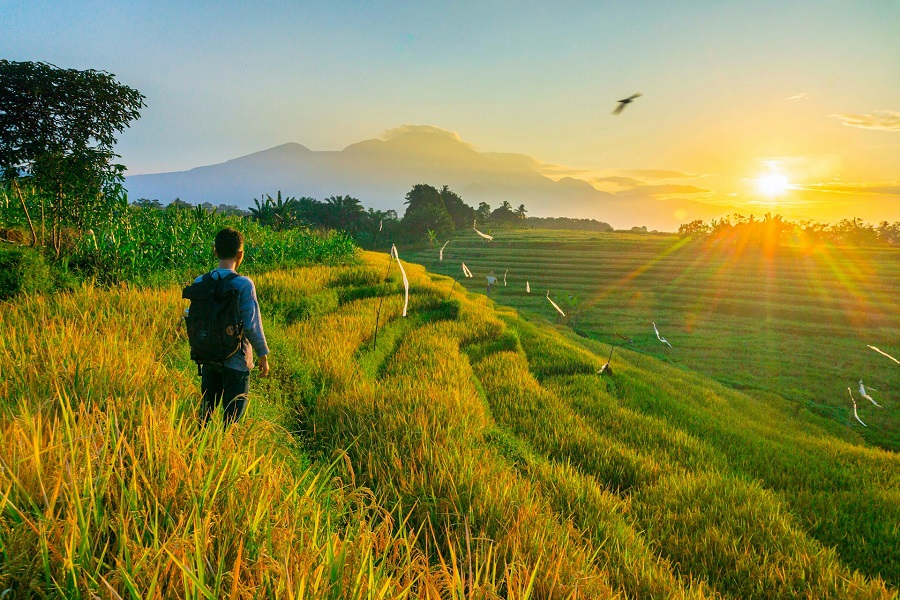 Индонезия: Бали