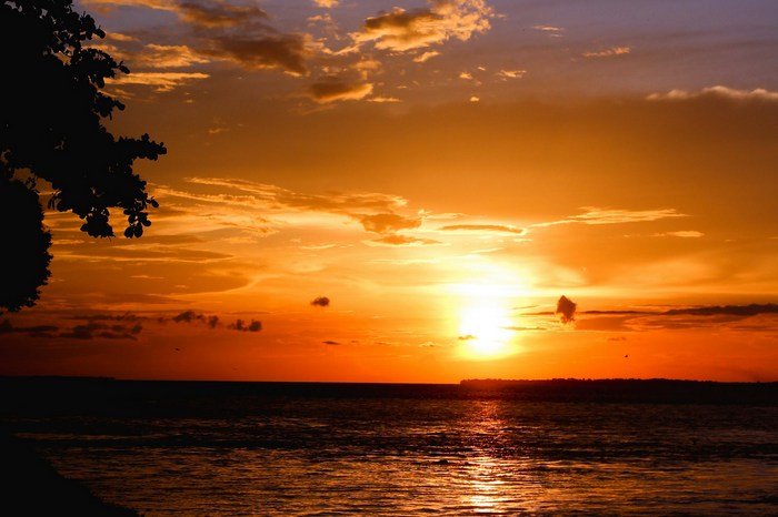 Эквадор: Амазония