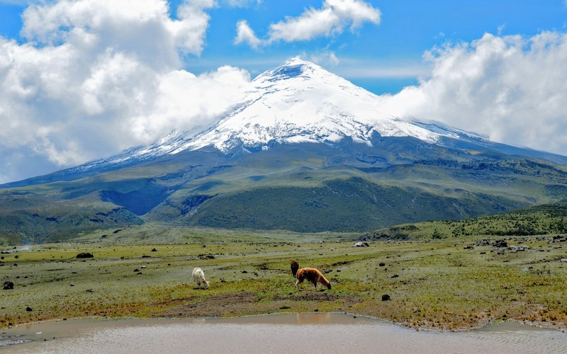 Эквадор: Котопакси