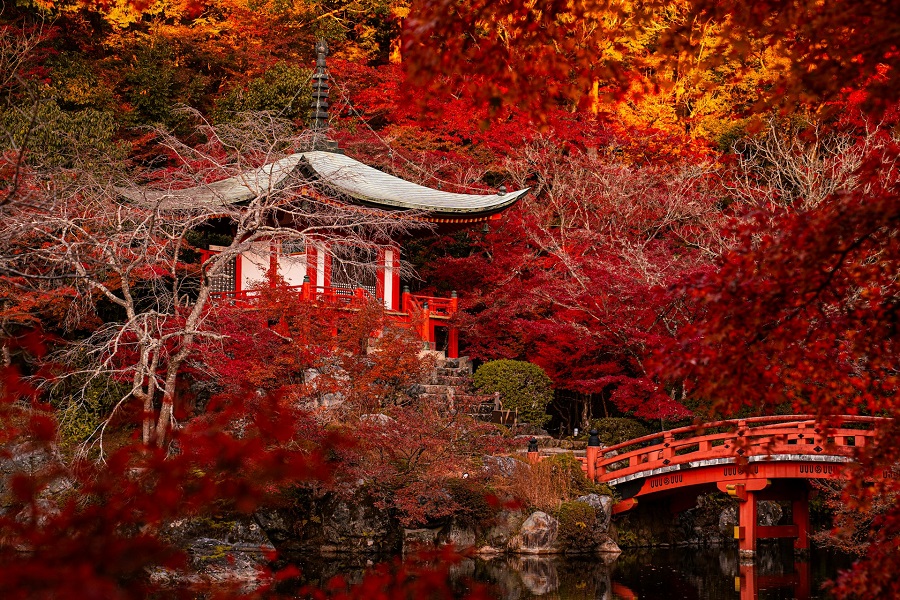 Тур в Японию