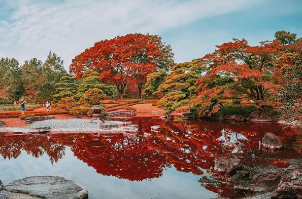 Япония: Токио