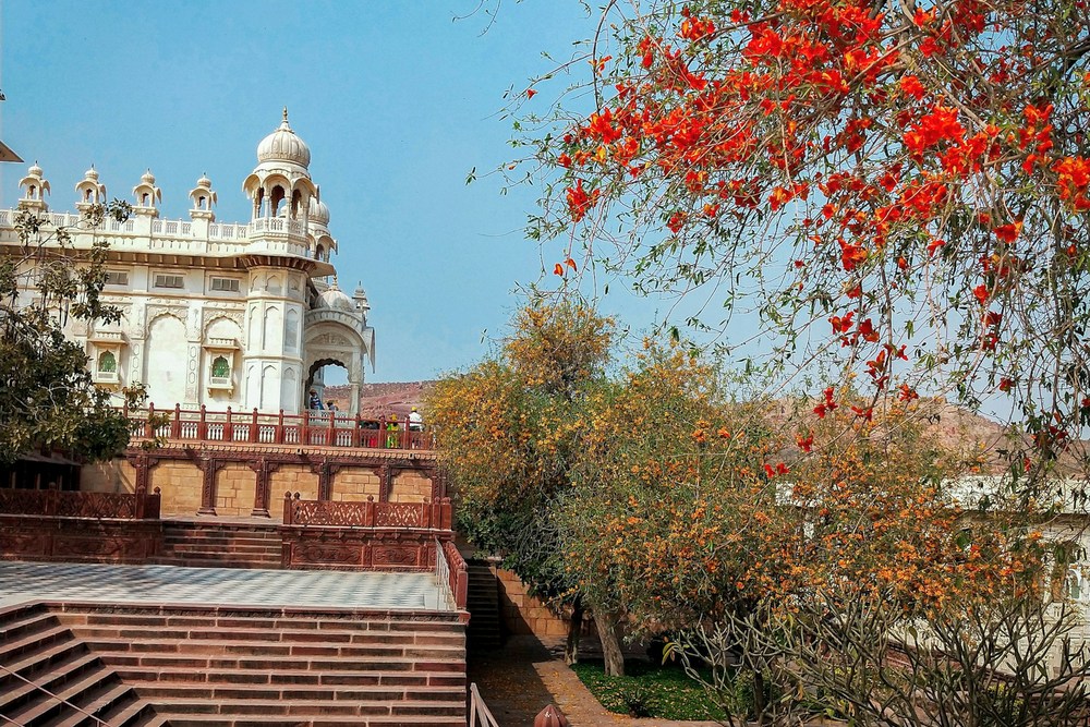 Индия: Джодхпур