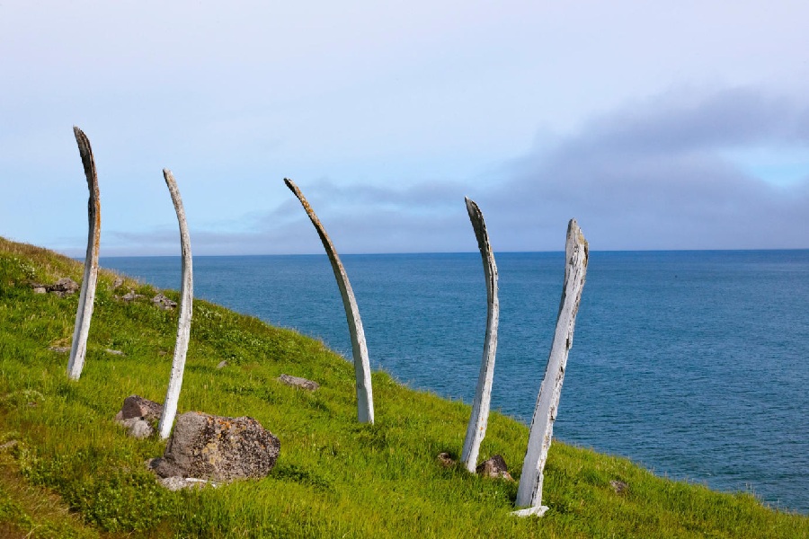 Россия: Чукотка, о. Иттыгран