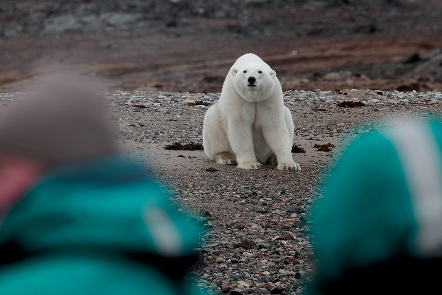 Россия: остров Колючин