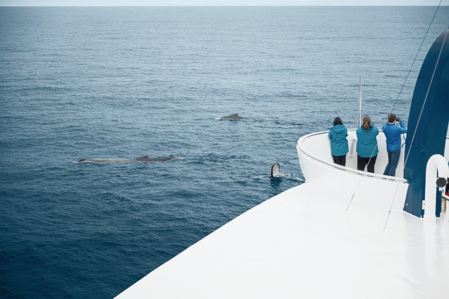 Россия: бухта Пенкигней