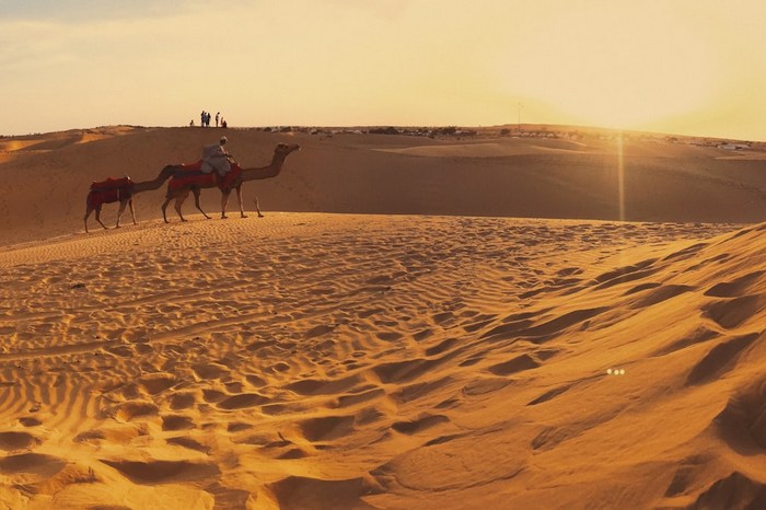 Индия: Биканер