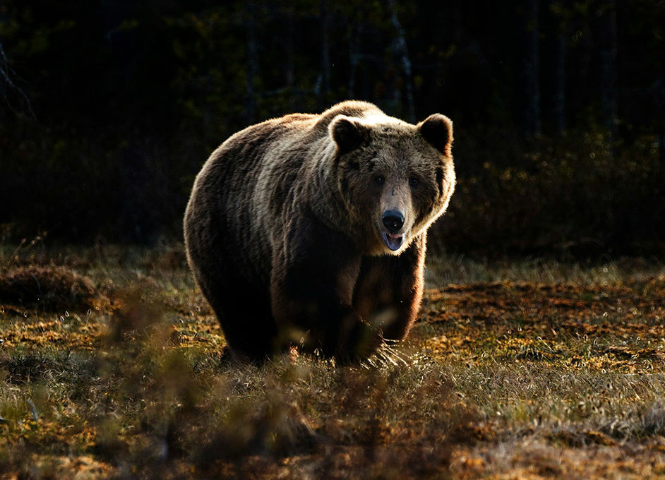 Россия: Камчатка