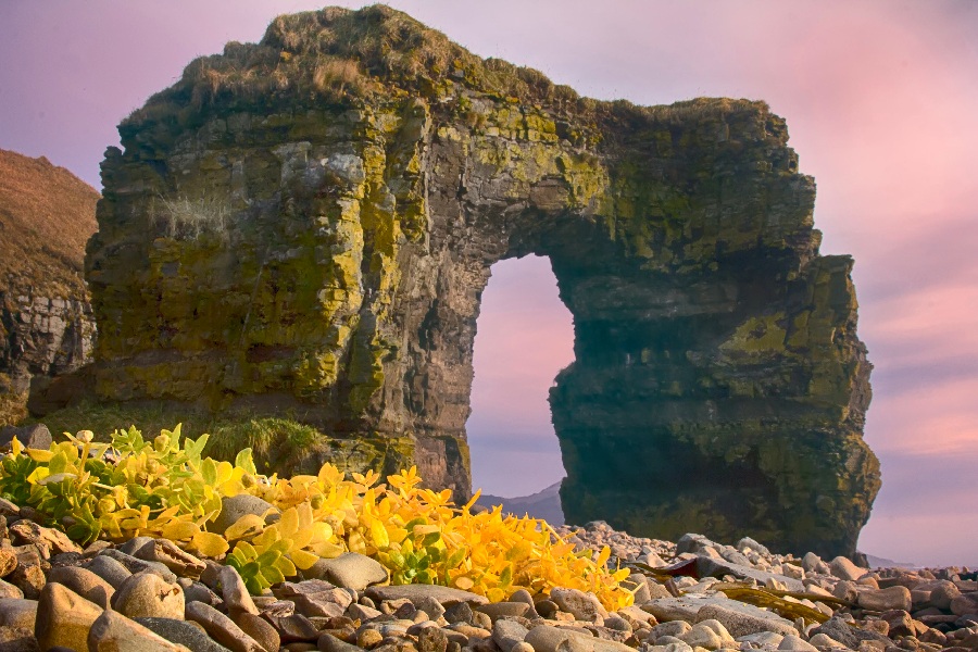 Россия: Командорские острова