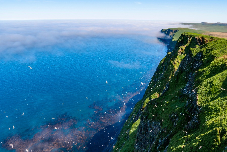 Россия: Командорские острова