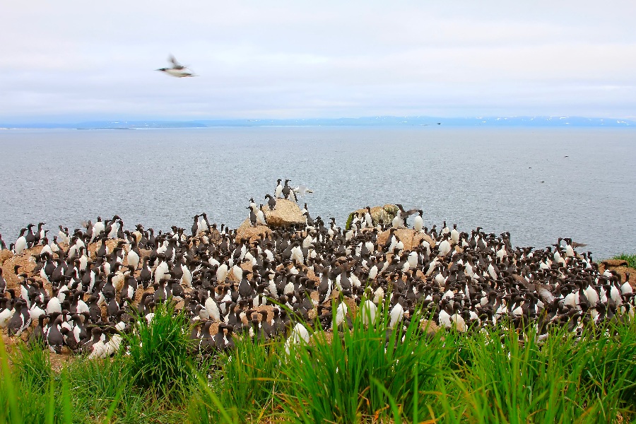 Россия: бухта Анастасии