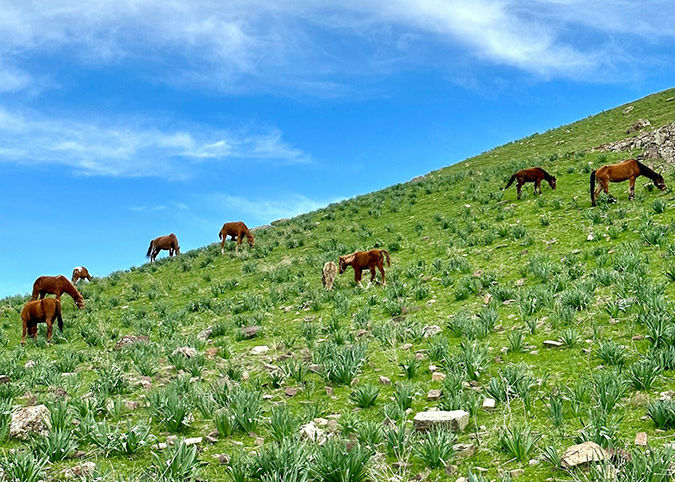 Узбекистан: окрестности Айдаркуль
