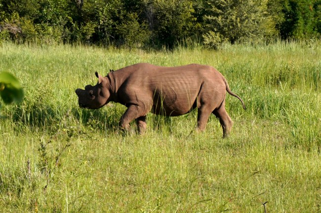 Зимбабве: Виктория-Фолс