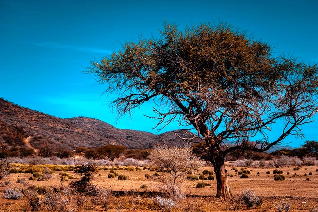 Намибия: Виндхук