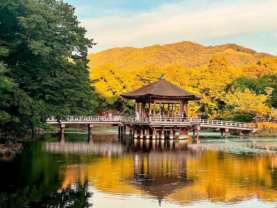 Япония: Нара