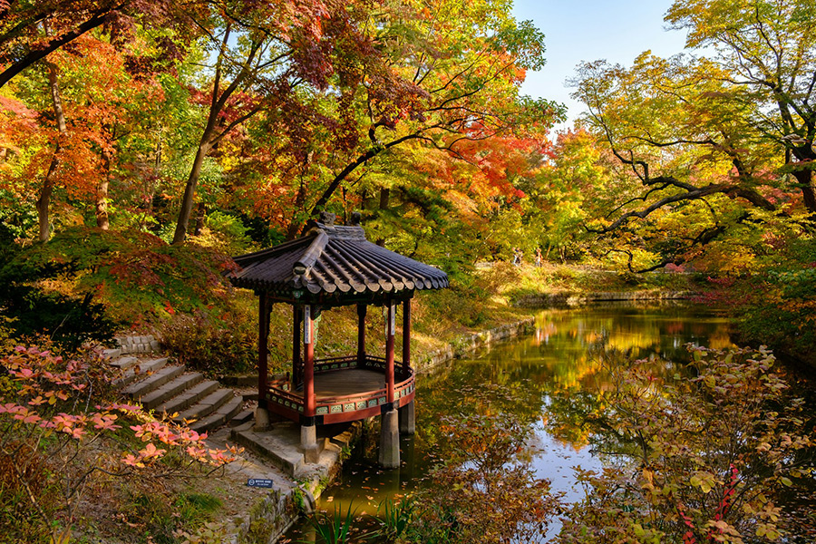 Южная Корея: Сеул