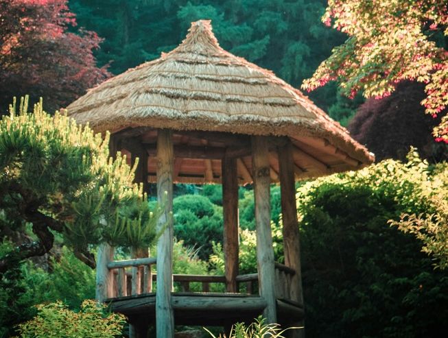 Южная Корея: Сад утреннего спокойствия