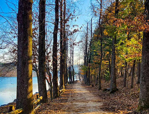 Южная Корея: остров Нами