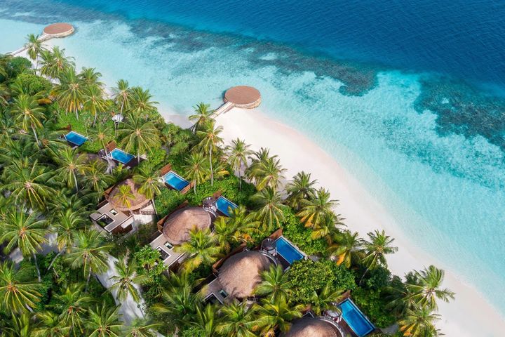 Туры на Мальдивы: W Maldives 5* Lux