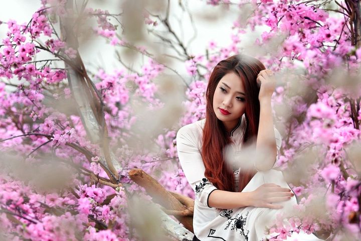 Сакура. Большое путешествие по Японии с Канадзавой, Нагано и Никко