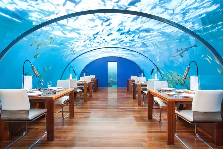 all inclusive на мальдивах