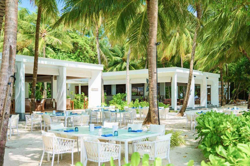 Мальдивы: Amilla Maldives, рестораны