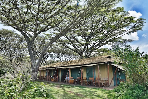 Танзания: Lemala Ngorongoro Tented Camp, лодж
