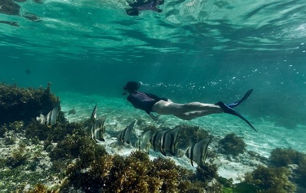 Сейшелы: Club Med, развлечения
