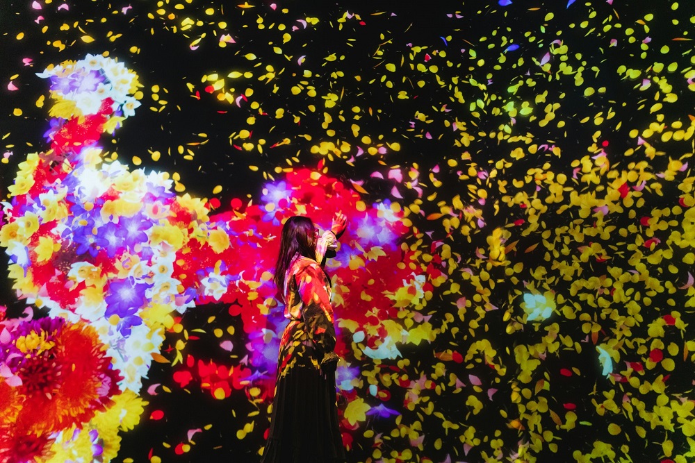 Япония: Токио, TeamLab