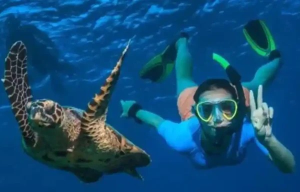 Сейшелы: Story Seychelles, сноркелинг