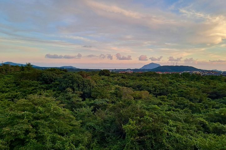 Тур в Корею