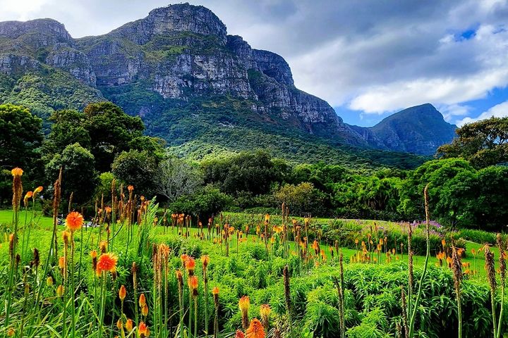 Тур в ЮАР на Новый год