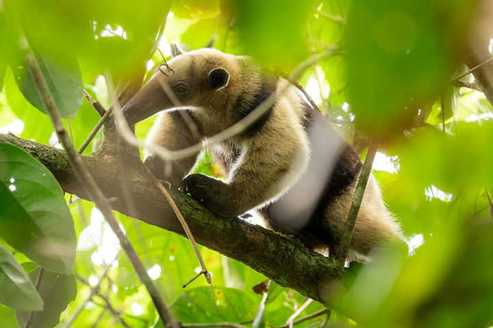 Туры в Венесуэлу