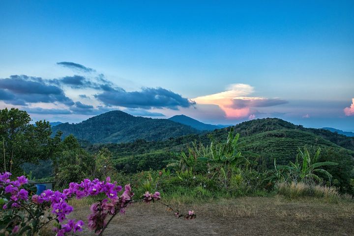 Групповые туры в Таиланд