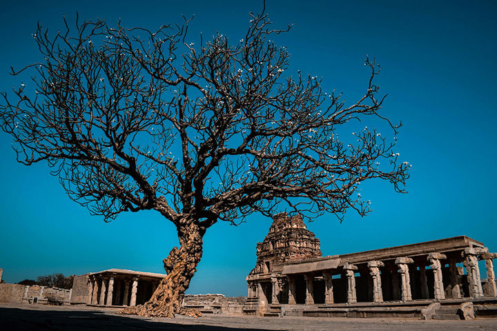 Тур в Индию с РГО