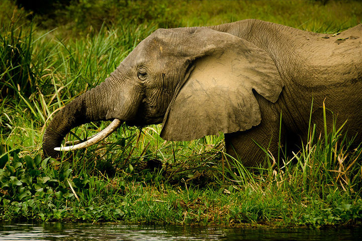 Туры в Африку