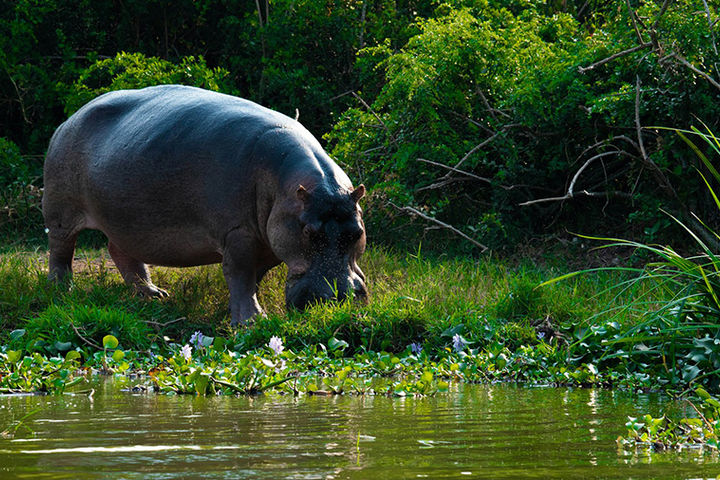 Туры в Африку