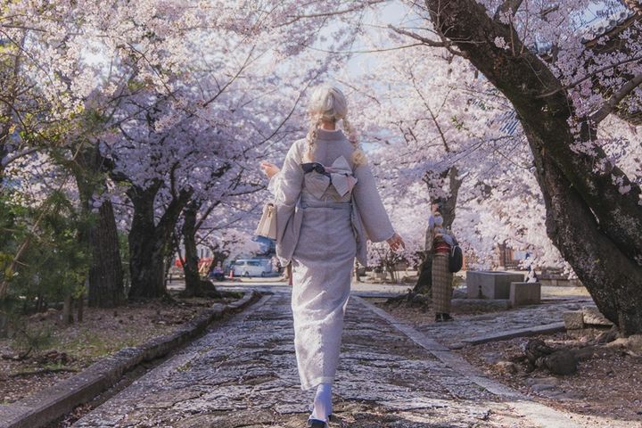 Тур на сакуру в Японию